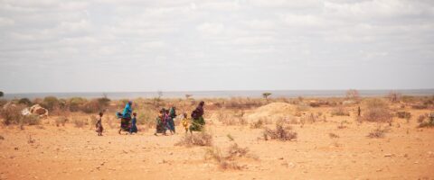 Addressing Food Insecurity and Climate Change for Poverty Reduction in the Horn of Africa