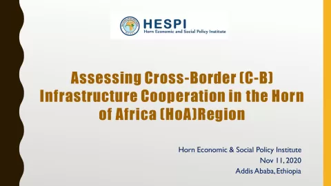 Regional economic integration and trade;  infrastructure development; access to sustainable finance, food security, climate change and building resilience; and assessment of Covid-19 economic and health impact in the Horn of Africa countries