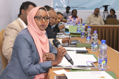 HESPI Policy forum organized on  "Fiscal Federalism and Decentralization in the IGAD member countries"